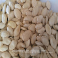 2019 new crop shine skin pumpkin seeds yellow color cheap price salted roasted